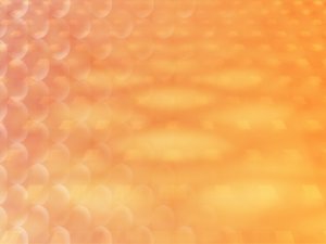 模型蒸馏
